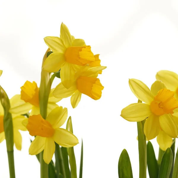 网络赌博捕鱼游戏